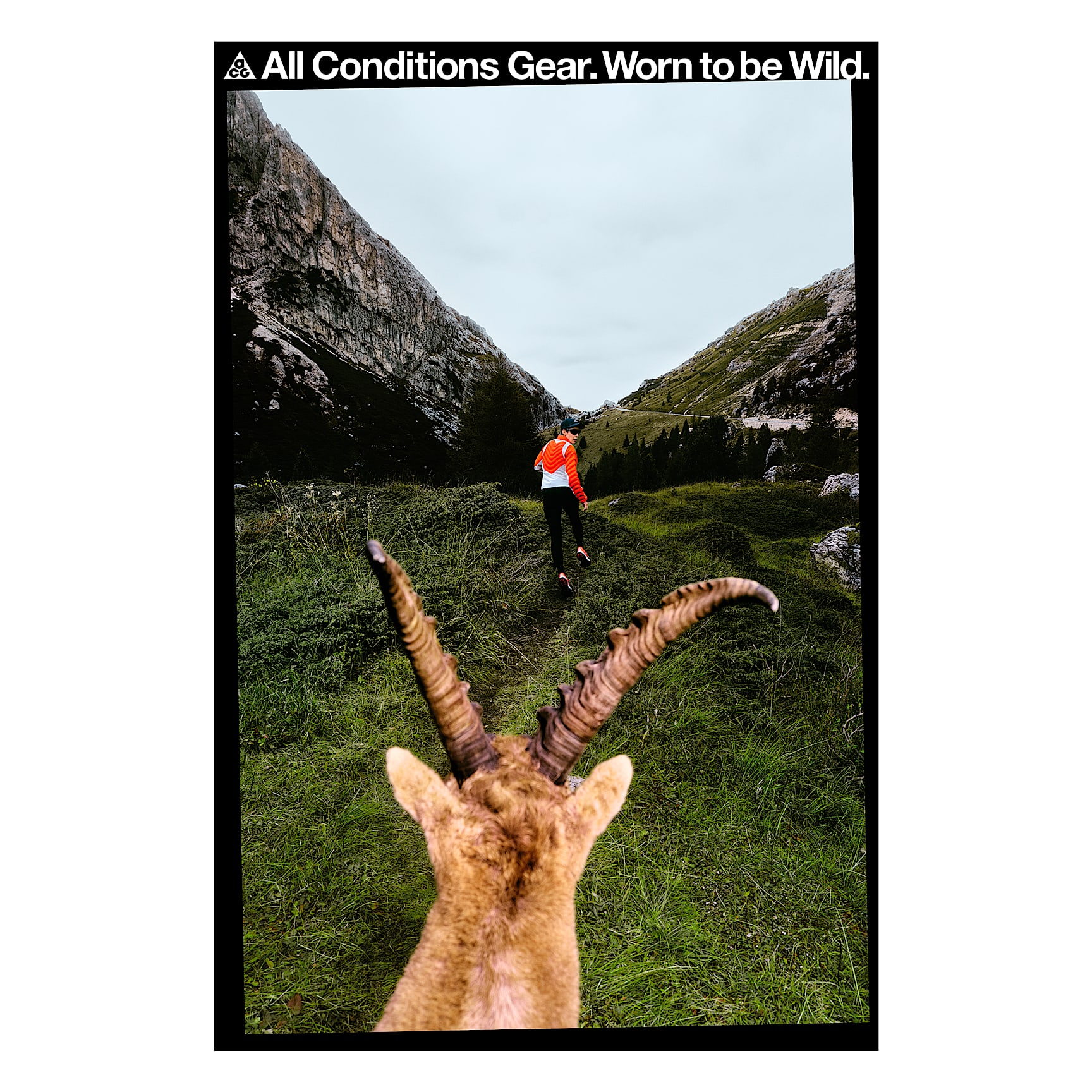 めめ૮ . ̫ . ა ⸝꙳ Nike ACG “Ibex” Poster 22